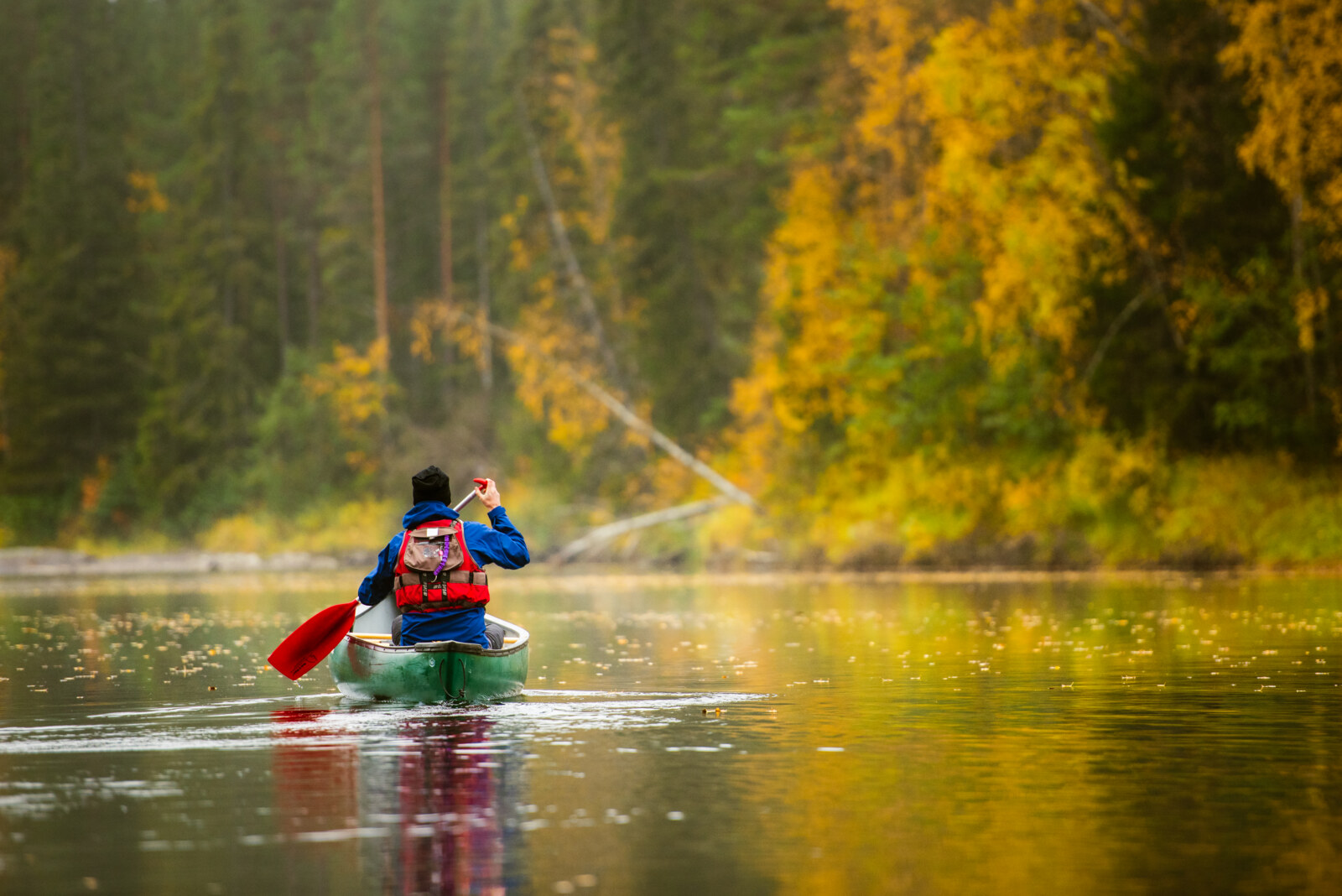 Canoeing on Byske river