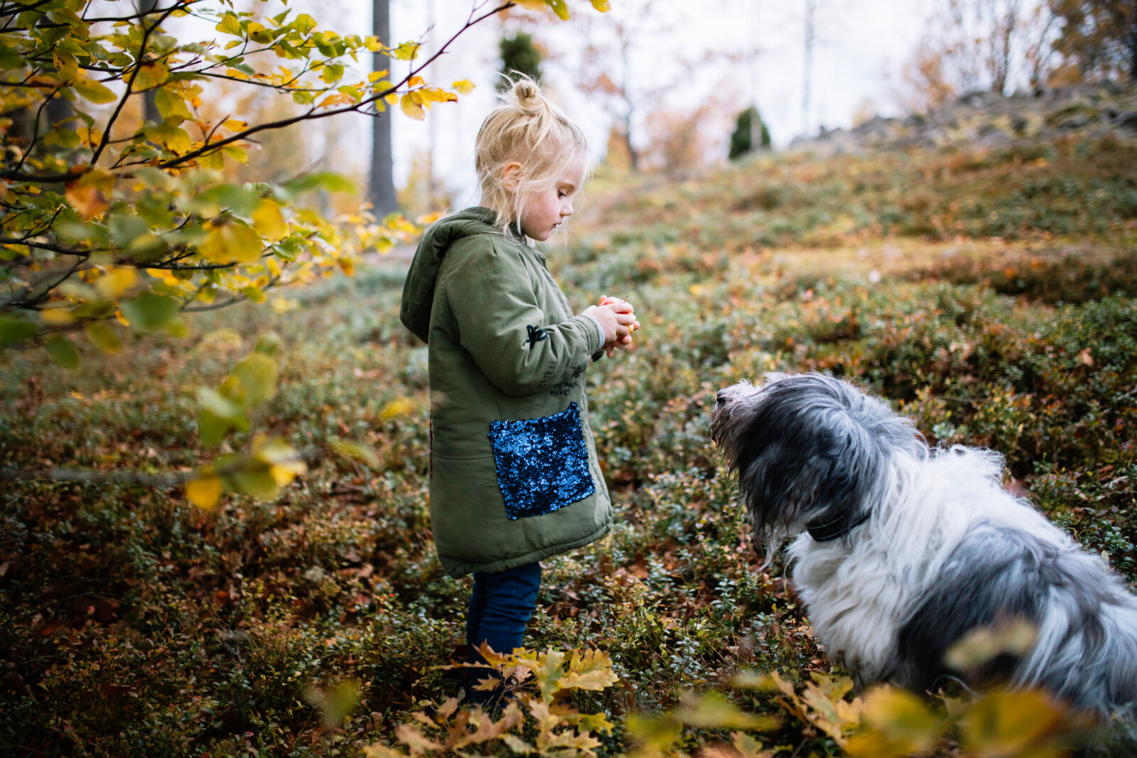 Girl and dog in the forest